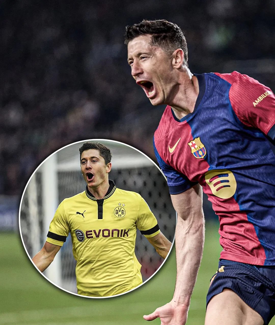 大卫本纳维德兹全部比赛视频