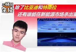 巨头入场